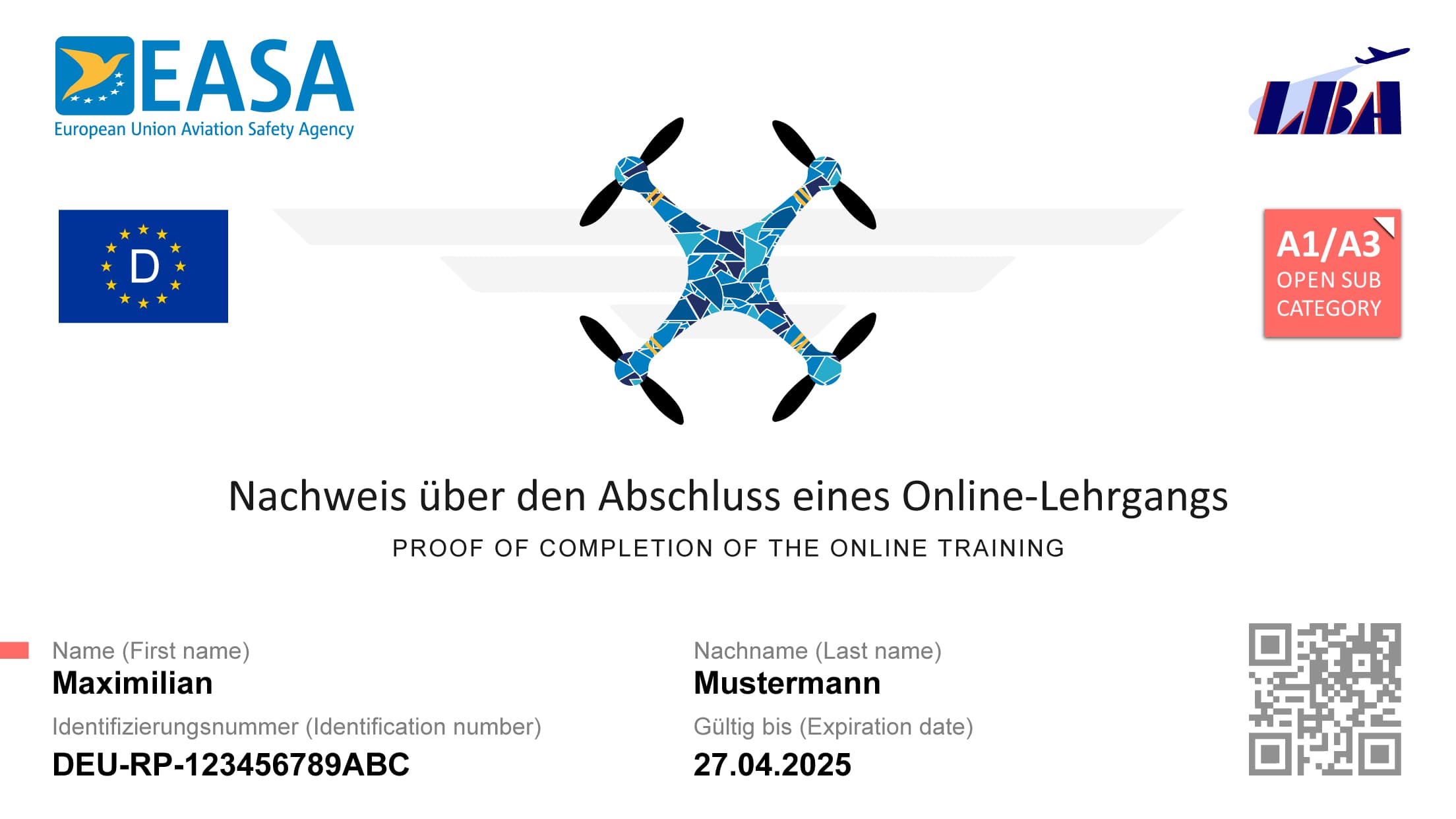 eu-kompetenznachweis muster