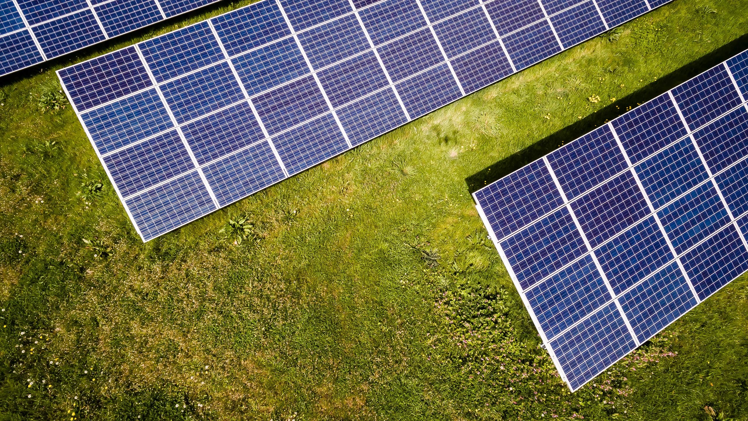 Photovoltaikanlage aus der Vogelperspektive
