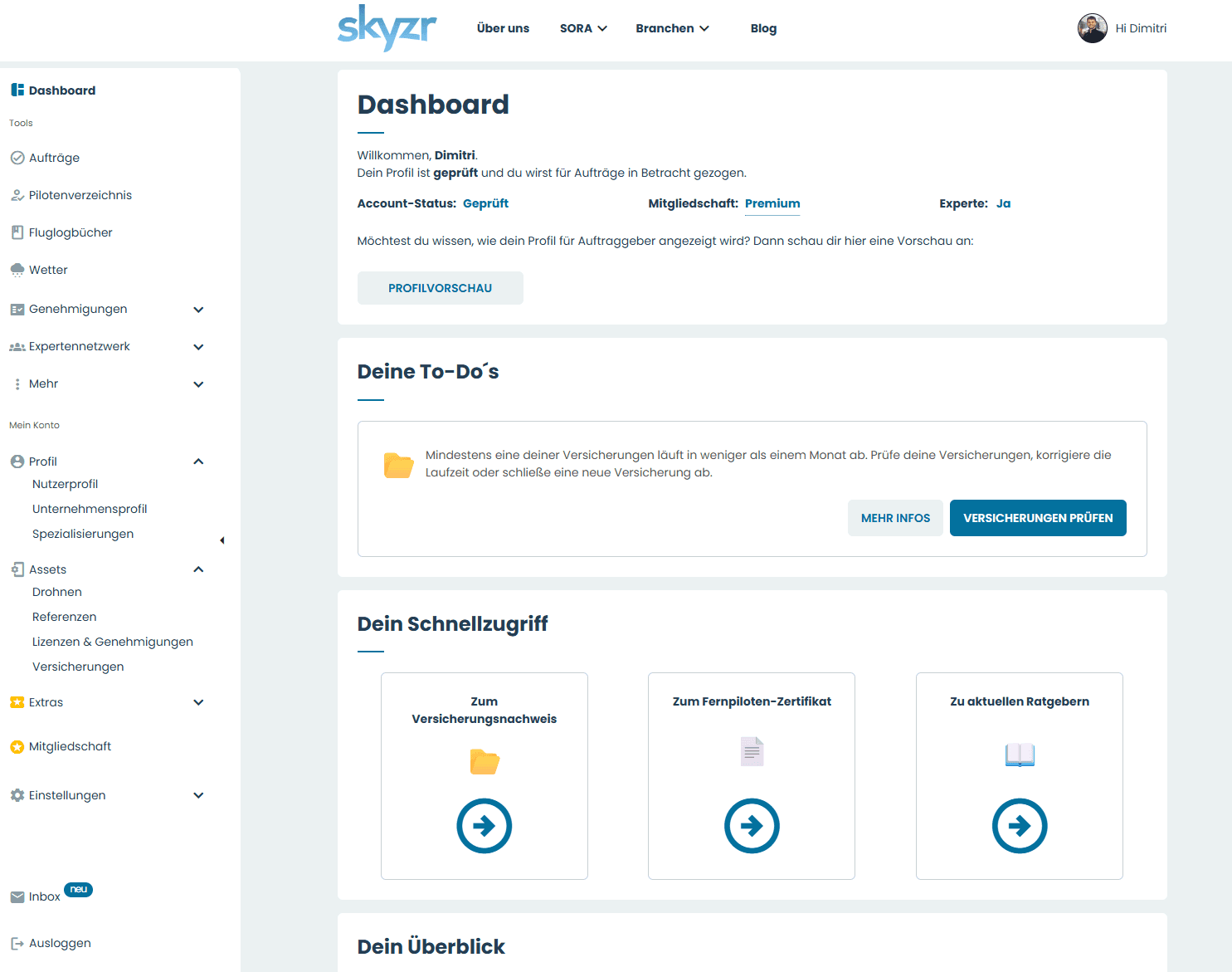 Öffentliches skyzr Drohnenpiloten-Profil