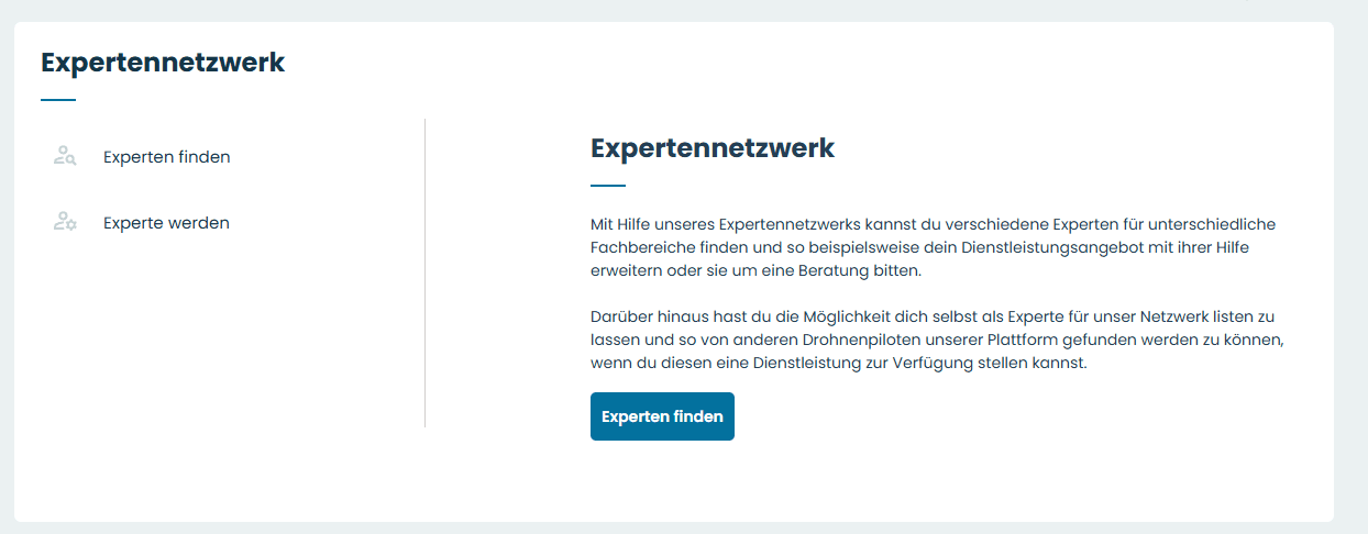 Overview of the skyzr expert network