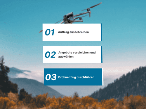 Auftragsausschreibung in drei Schritten
