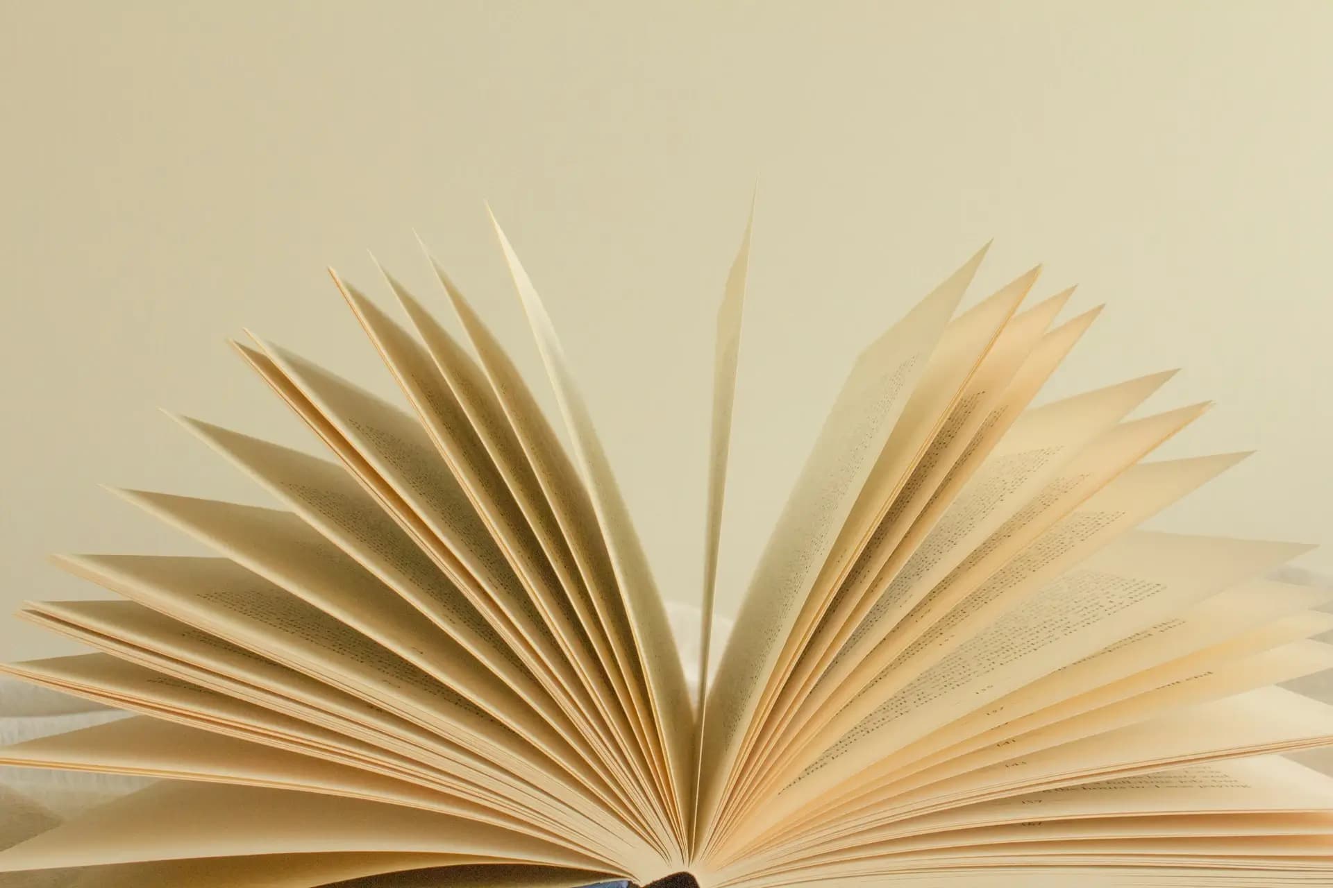 drohnen buch drohnenpilot