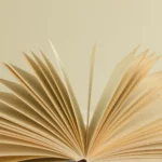 drohnen buch drohnenpilot